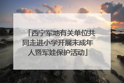 西宁军地有关单位共同走进小学开展未成年人暨军娃保护活动